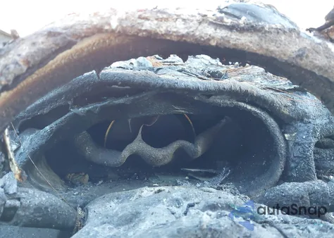 2017 Kia Sorento 3.3L Ex из США, поврежденный, VIN 5XYPH4A57HG306319